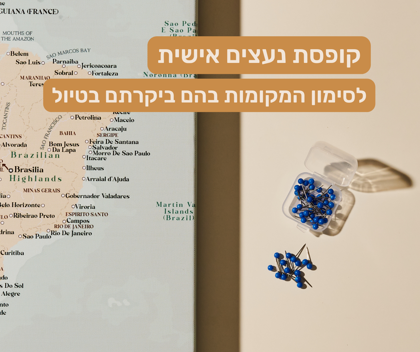 מפת הודו והשכנות