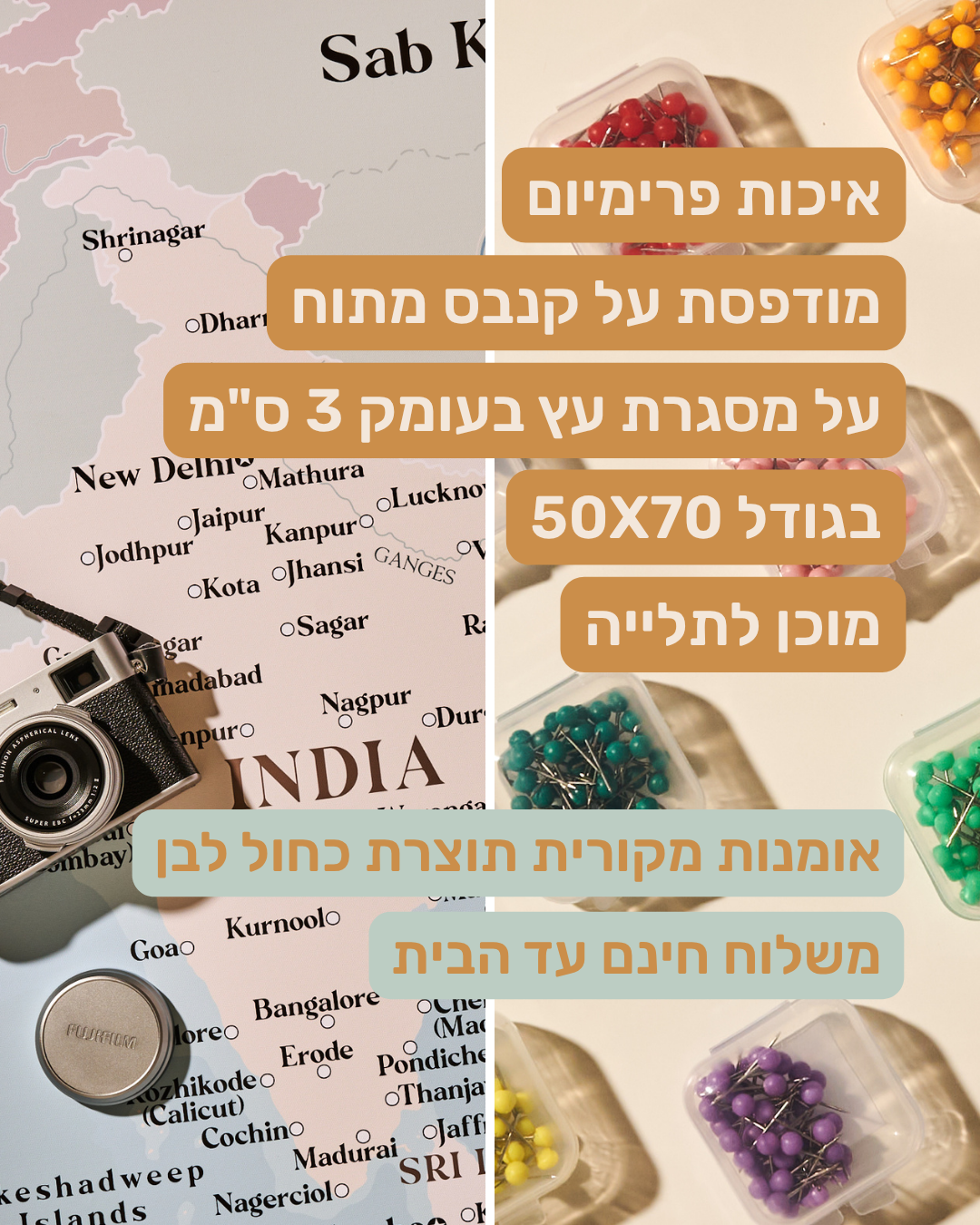 מפת הודו והשכנות