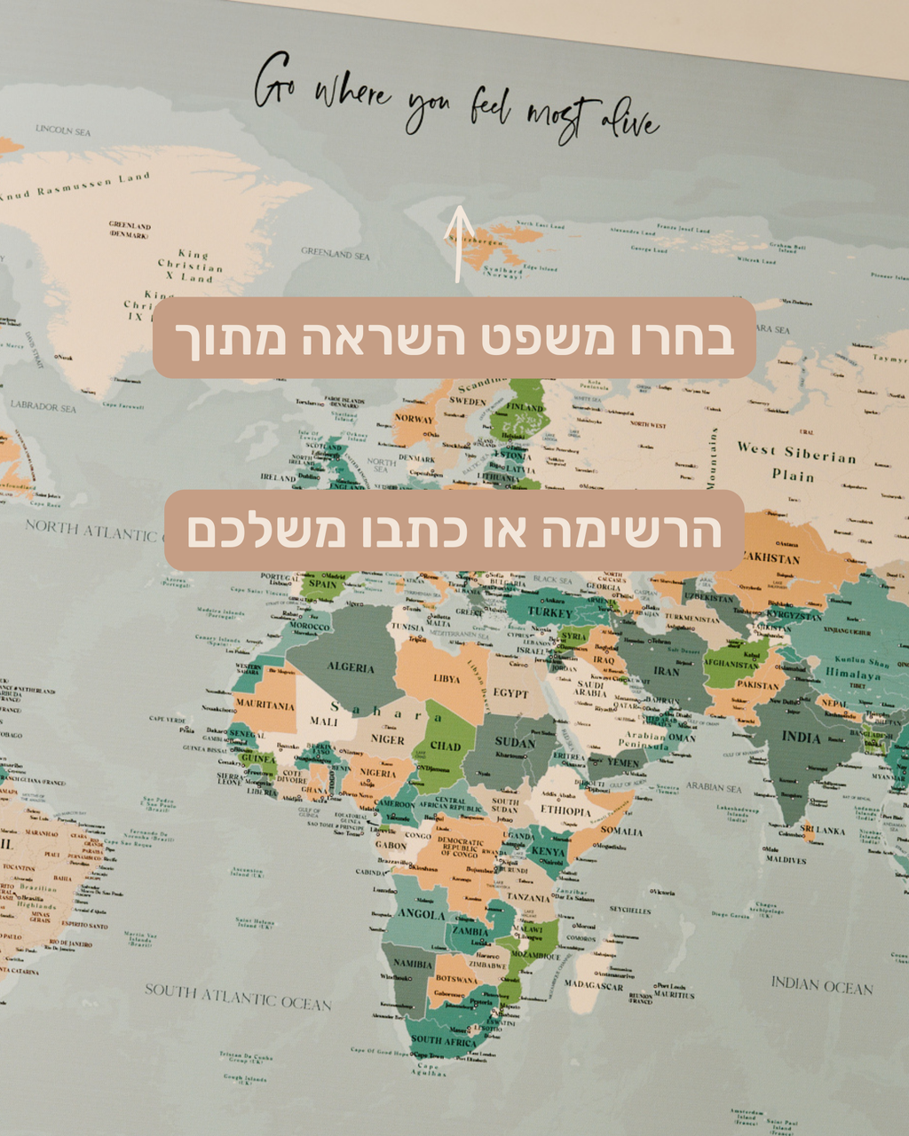 מפת עולם יחיד ננעצת