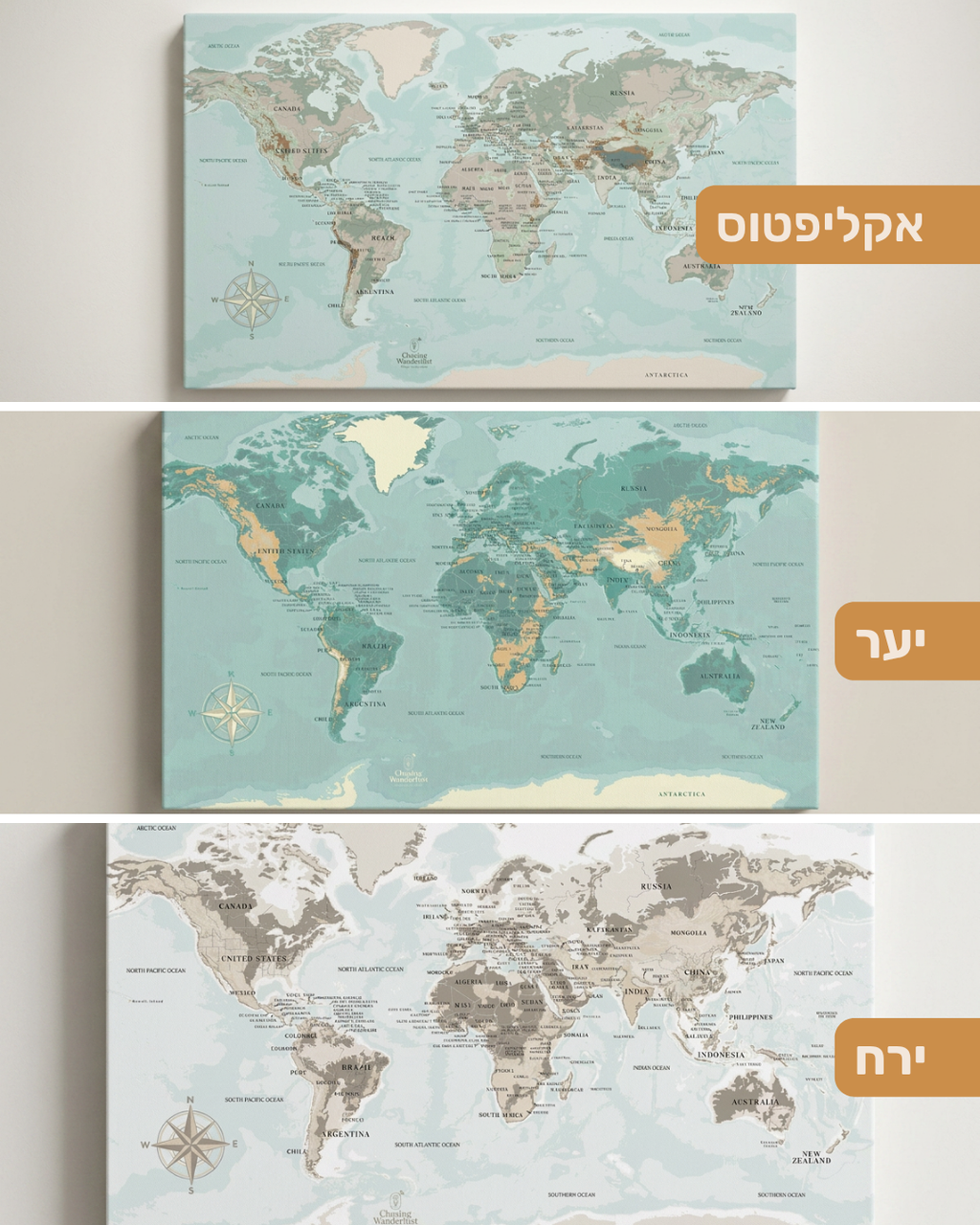 מפת עולם מיני עם נעצים
