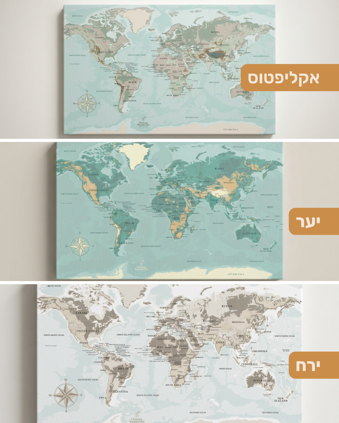 מפת עולם מיני עם נעצים