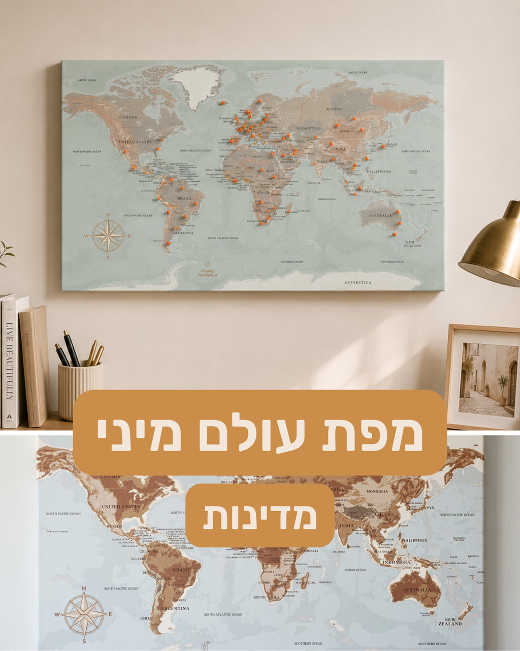 מפת עולם מיני עם נעצים