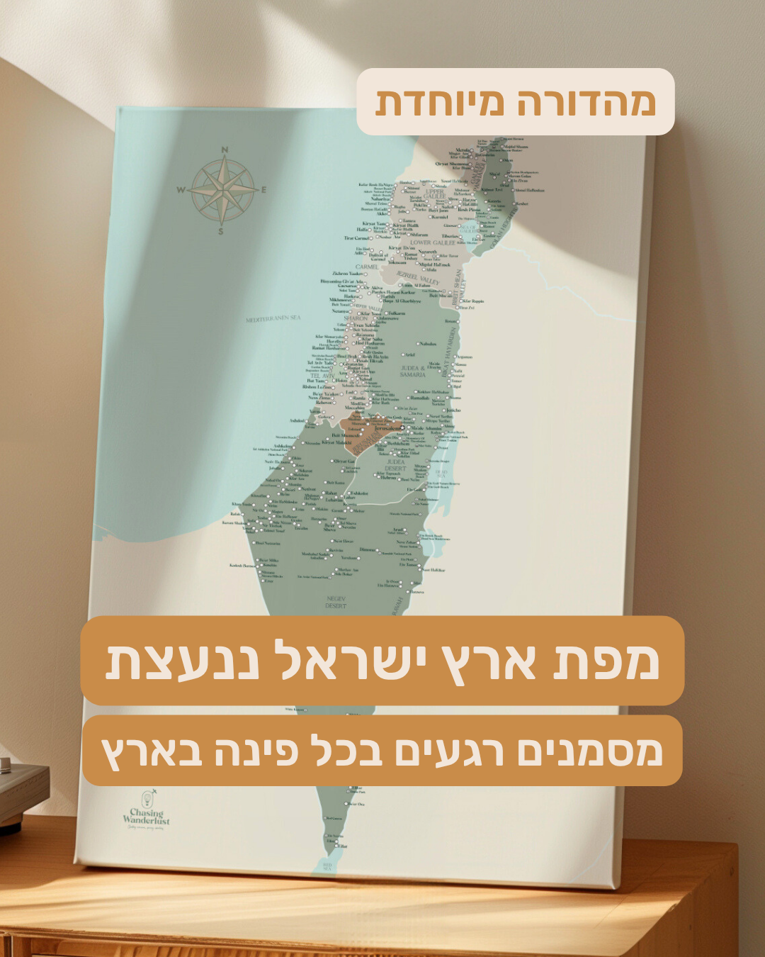 מפת ארץ ישראל ננעצת