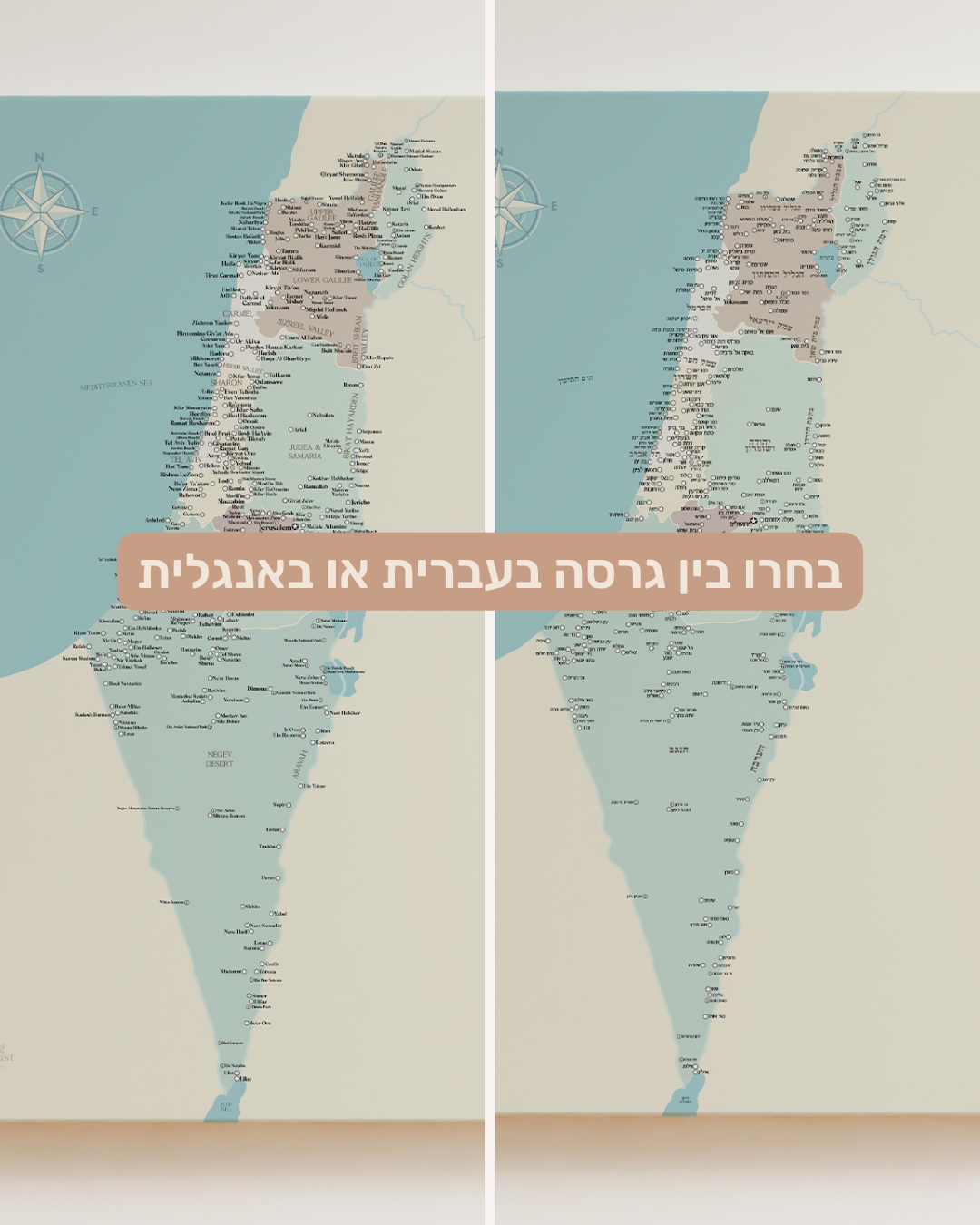 מפת ארץ ישראל ננעצת