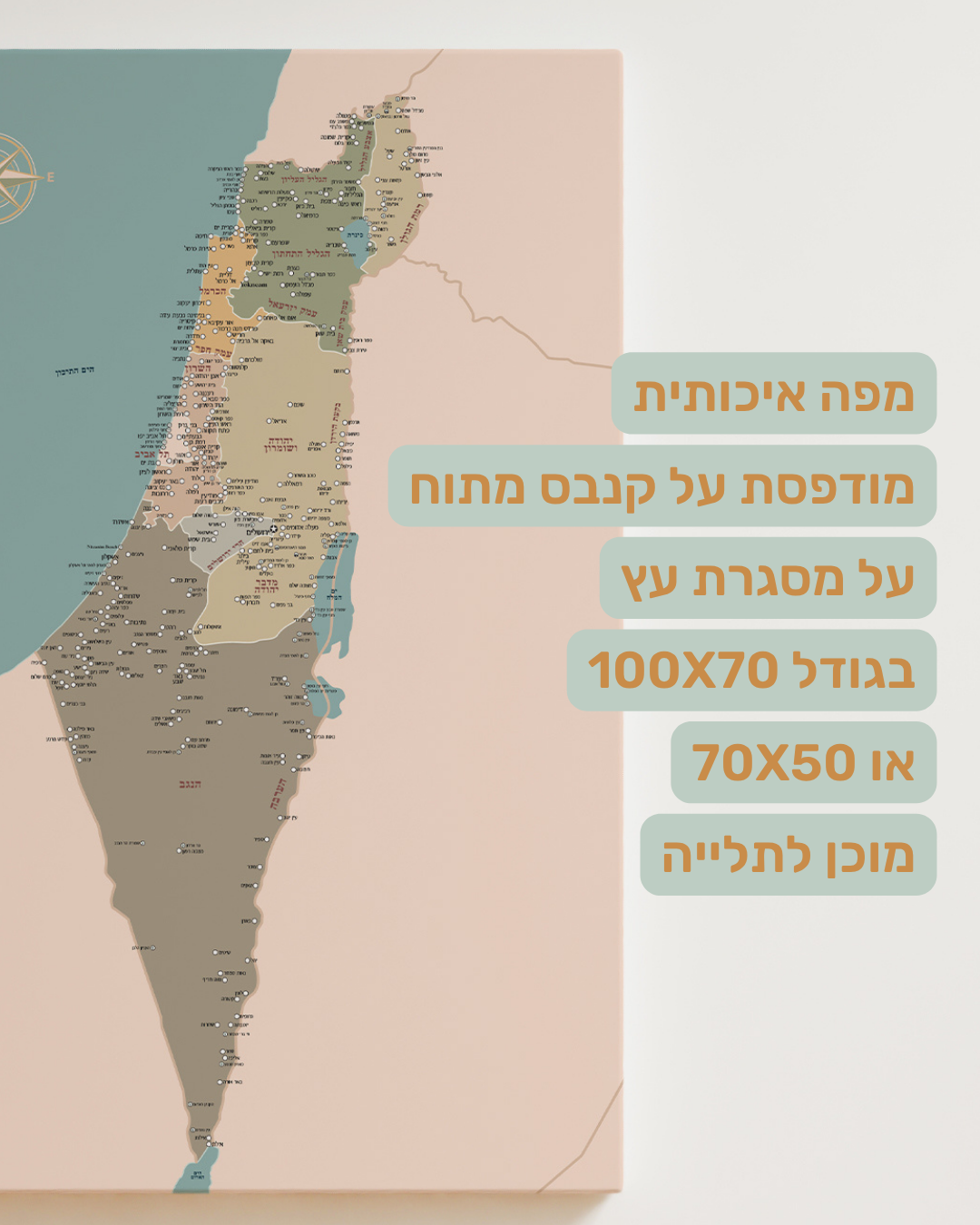 מפת ארץ ישראל ננעצת
