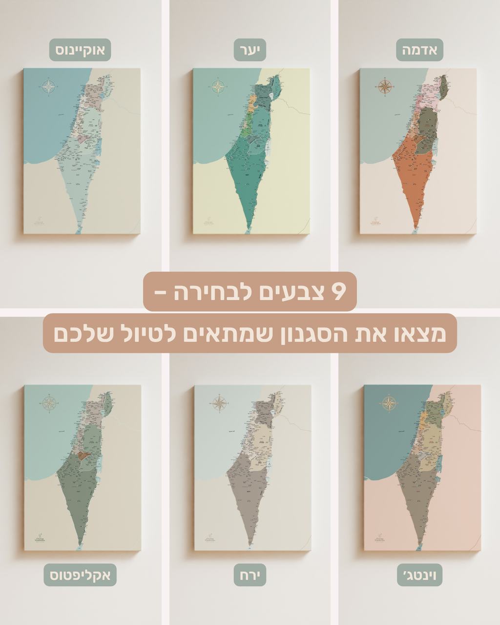 מפת ארץ ישראל ננעצת