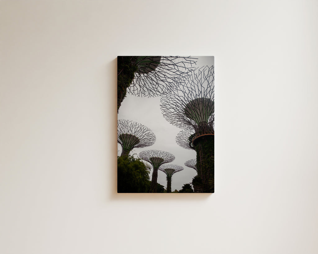 Gardens By The Bay, Singapore